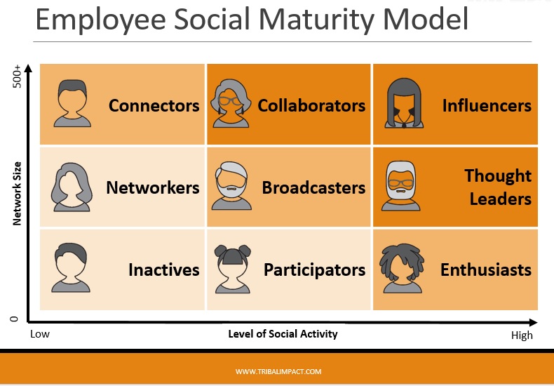 employee-social-maturity-model